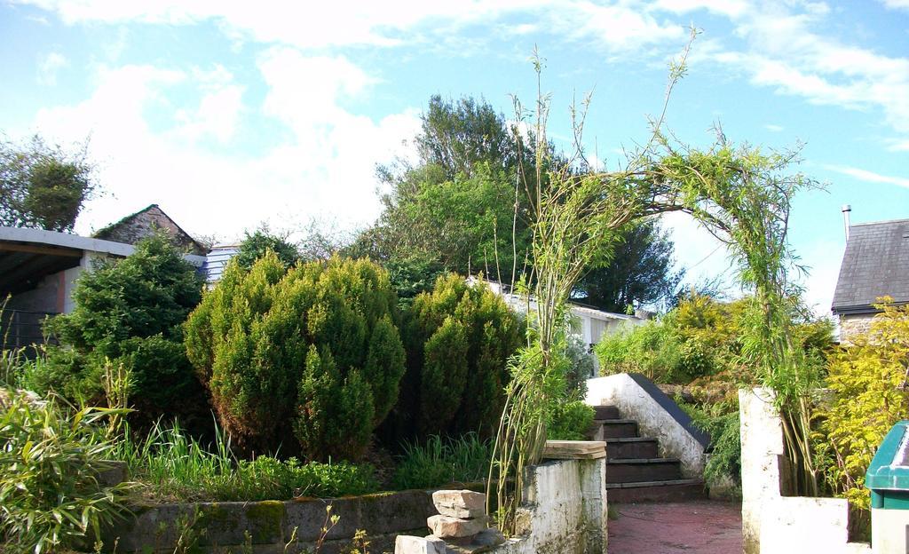 Bed and Breakfast Bryncoch Llannon Zimmer foto